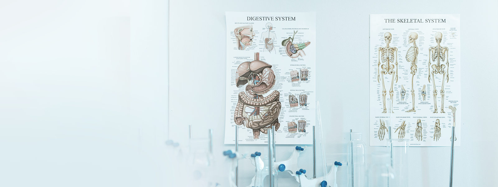 尊龙凯时-人生就是搏!