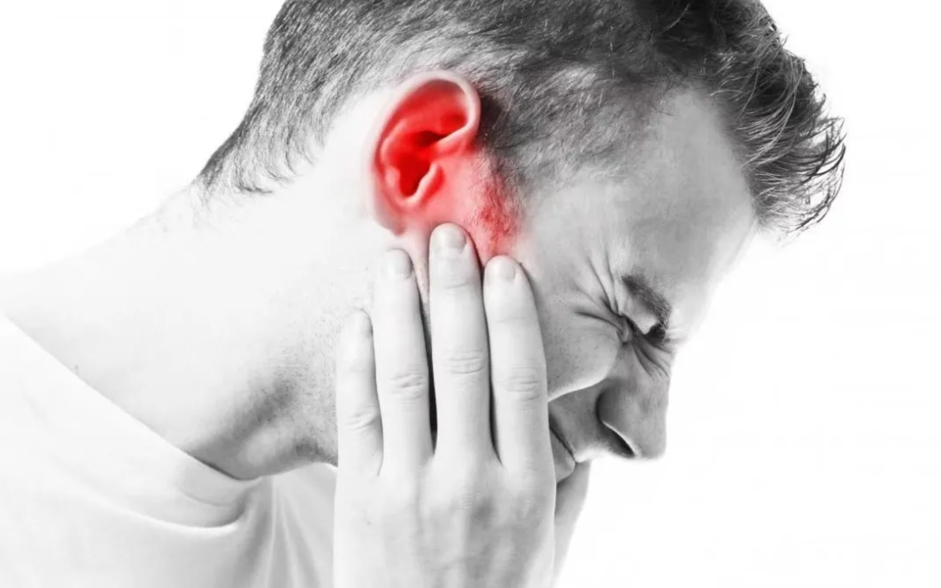 尊龙凯时-人生就是搏!