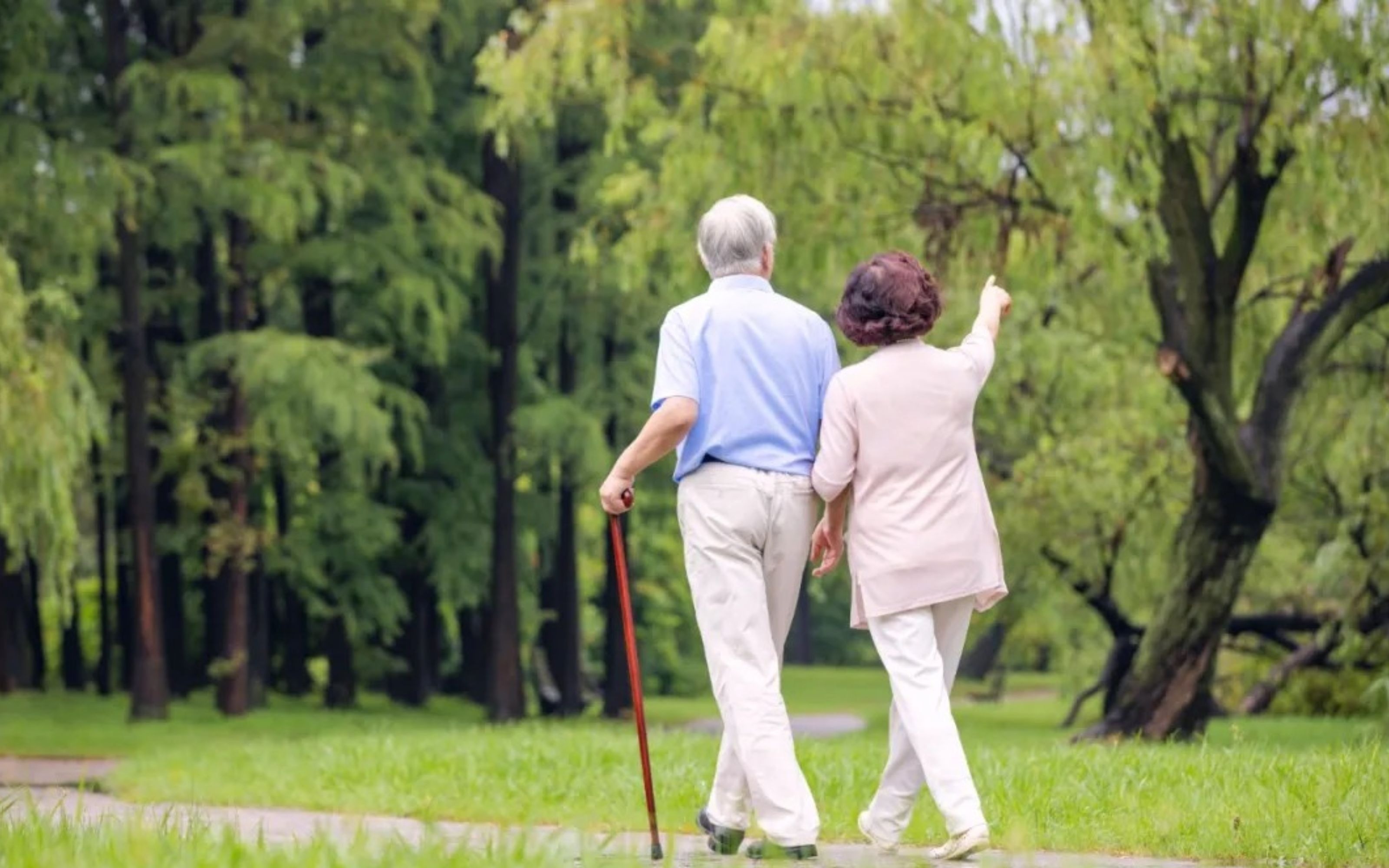 尊龙凯时-人生就是搏!